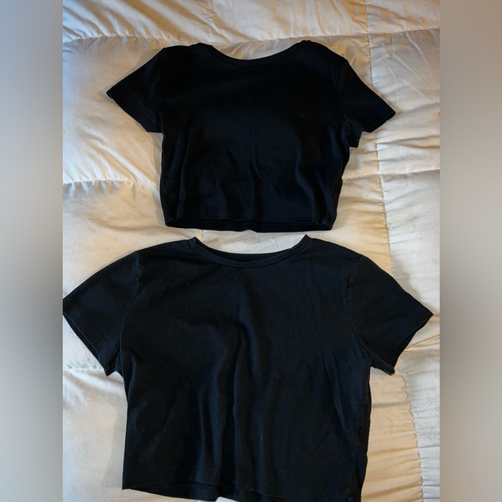 Wild Fable Crop Top Short Sleeve T-Shirts